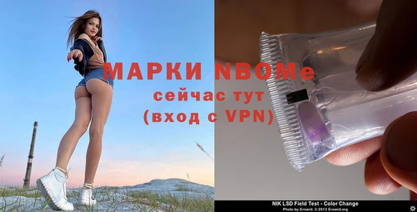 шишки Алзамай