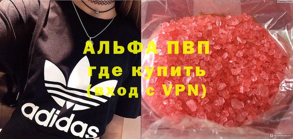 шишки Алзамай