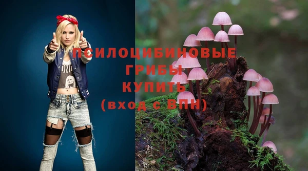 шишки Алзамай