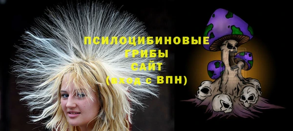 шишки Алзамай
