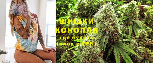 шишки Алзамай