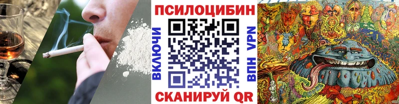 Псилоцибиновые грибы Psilocybe  купить   Дивногорск 