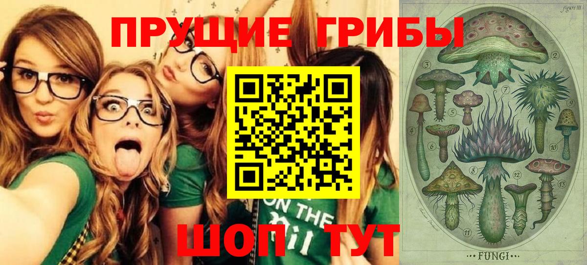 Галлюциногенные грибы GOLDEN TEACHER Дивногорск