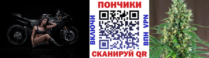 Канабис конопля  продажа наркотиков  Дивногорск 